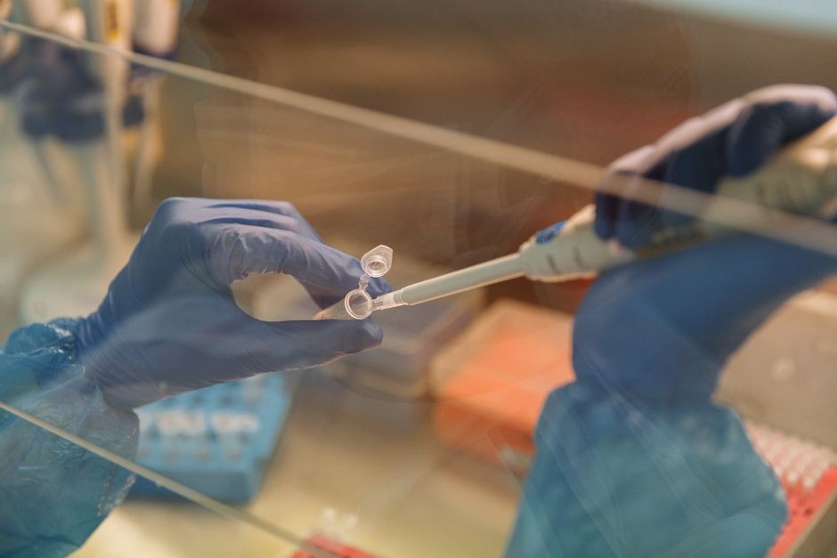 What Can Genetic Testing Reveal After an Autism Diagnosis?