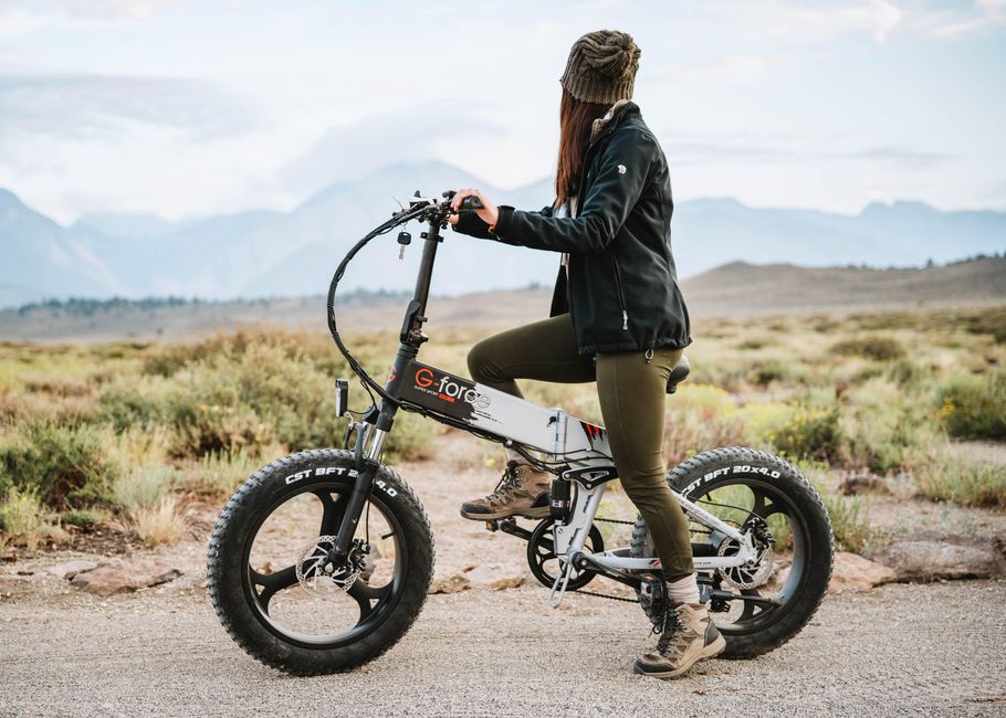 Costco Electric Bikes: Good Deal or Costly Shortcut?