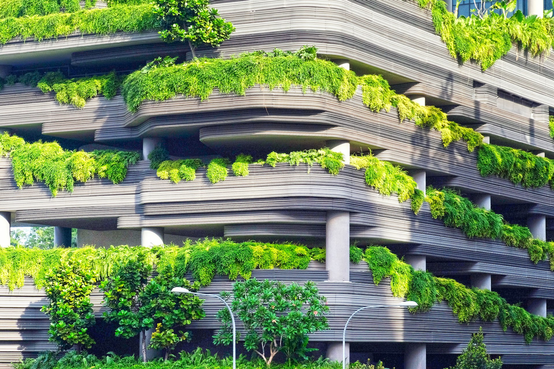 How Governments Drive Sustainable Growth: Actionable Insights into Green Finance Initiatives